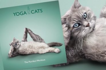 Libro Yoga Cats