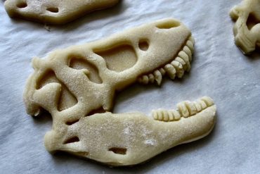 Biscotti T-Rex