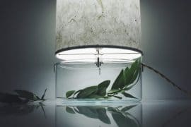 Lampade con terrario lampada-con-terrario