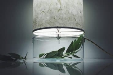 Lampade con terrario