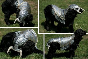 Il cane barbaro