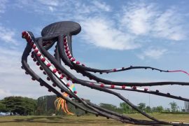 Octopus Kite aquilone-piovra