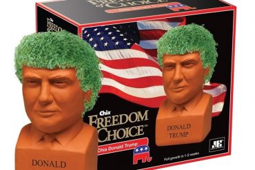 I veri capelli di Trump