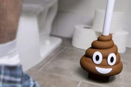 Sturalavandini Poo sturalavandini-poo