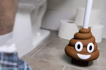 Sturalavandini Poo