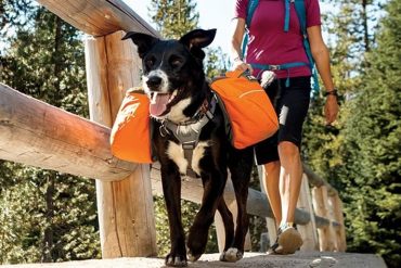 Tasche da trasporto per cani