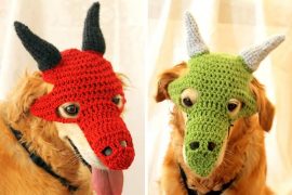 Costume per cane: Drago maschera-da-drago-per-cani