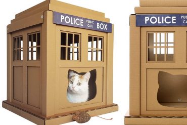 Casette per gatti NERD