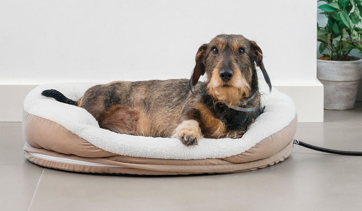 Lettino riscaldato per cani (e gatti)
