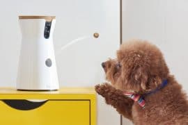 Furbo Dog Camera furbo-5