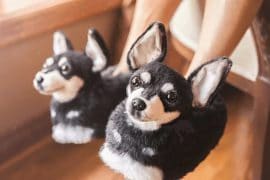Pantofole personalizzate degli animali domestici pantofole-personalizzate-animali-domestici