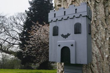 Castello per pipistrelli
