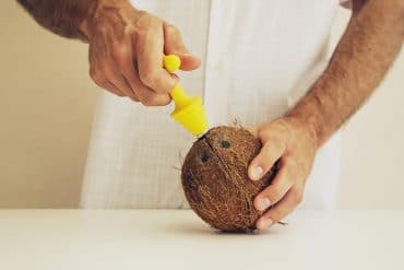 Apri cocco Coccocrack