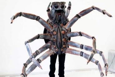Costume da ragno