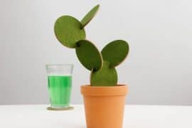 Sottobicchieri Cactus Sottobicchieri Cactus