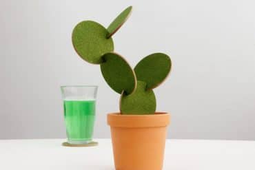 Sottobicchieri Cactus