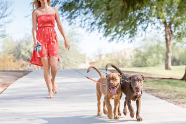 Guinzaglio doppio per cani