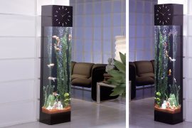 Acquario torre dell’orologio Acquario torre orologio