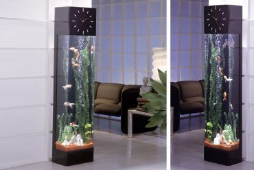 Acquario torre dell’orologio
