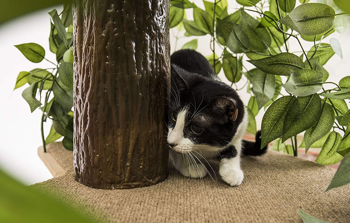 Alberi per gatti d'appartamento