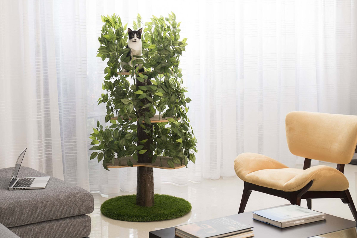 Alberi per gatti d'appartamento (3 piani)