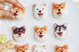 Marshmallows Shiba Marshmallows Shiba