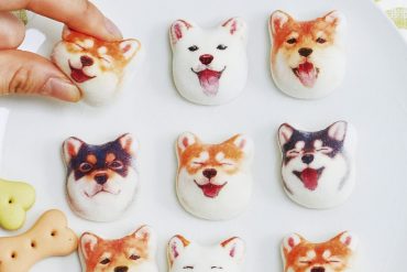 Marshmallows Shiba