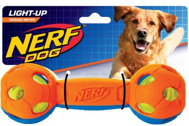 Nerf Dog