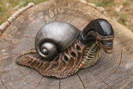 Lumaca Xenomorfo Lumaca Xenomorfo