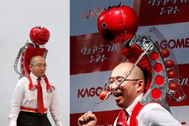 Robot dispenser di pomodori Robot dispenser di pomodori