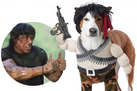 Costume per cani Rambo Costume per cani Rambo