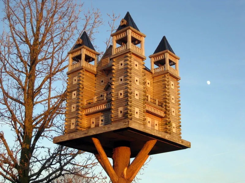 Castello per uccelli