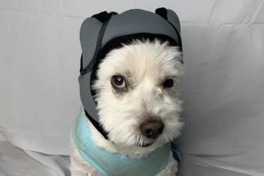 Cuffie cancellazione attiva del rumore per cani