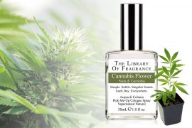 Profumo di Cannabis Profumo di Cannabis