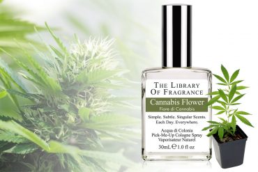 Profumo di Cannabis