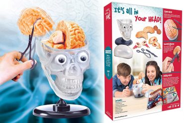 Cervello educativo per bambini
