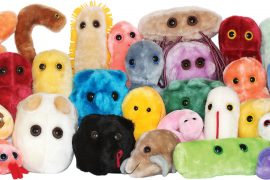 Giant Microbes Giant Microbes
