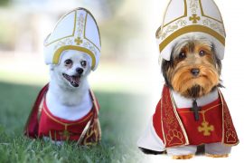 Costume da Papa per cani Costume da Papa per cani
