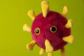 Peluche Coronavirus Peluche Coronavirus
