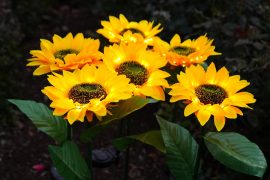 Girasoli LED per giardino Girasoli LED per giardino