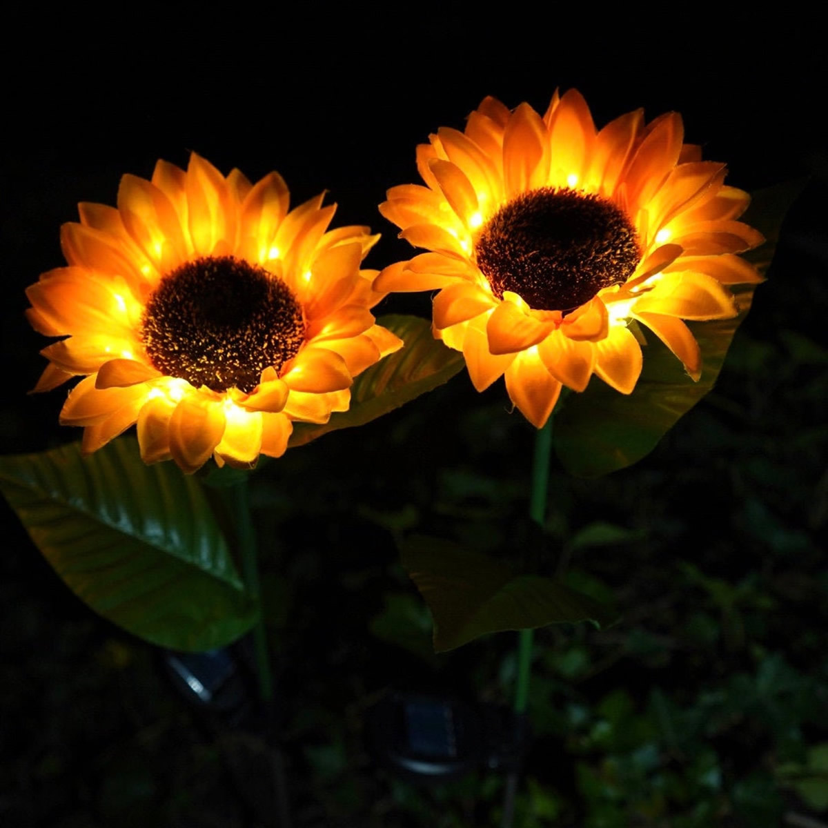 Girasoli luminosi LED