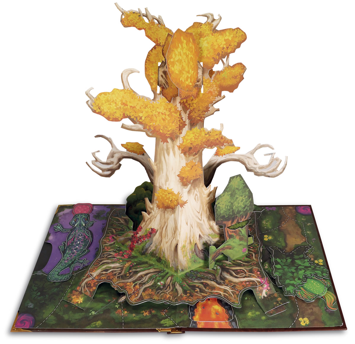 Wonder Book (libro pop-up)