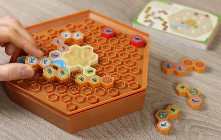 Catan: Puzzle logici - Piazzamento strade