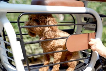E-bike porta cani