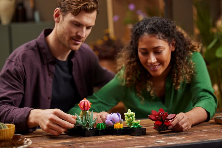 LEGO piante succulente