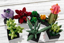 Piante grasse LEGO Piante grasse LEGO