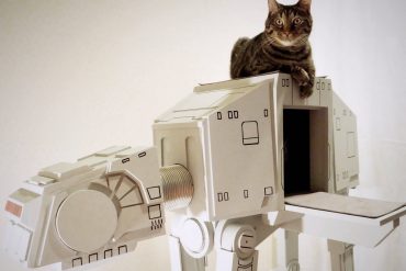 AT-AT per gatti