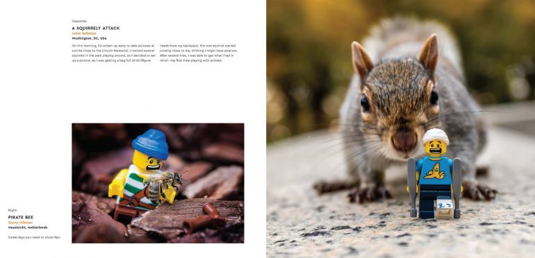LEGO In Focus