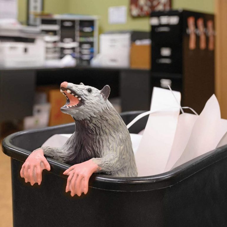 Opossum da ufficio