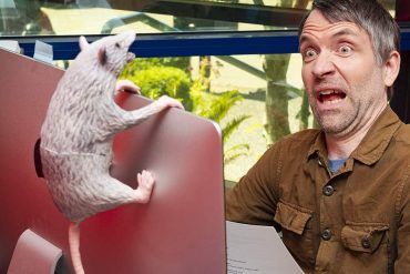 Opossum da ufficio